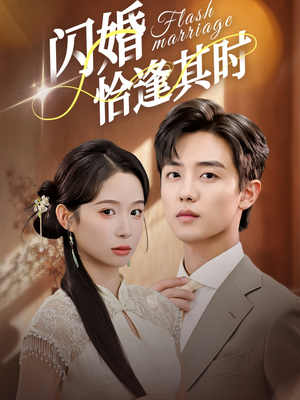 闪婚恰逢其时（53集）短剧经典全集任你选