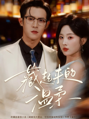 藏起来的温柔（75集）短剧大结局全集特惠