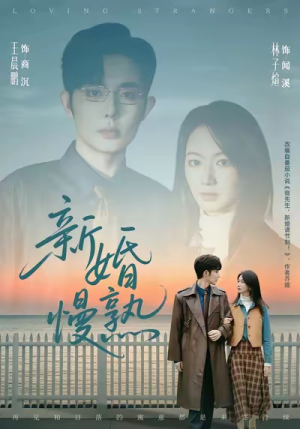 新婚慢熟（105集）短剧终极大放送合集