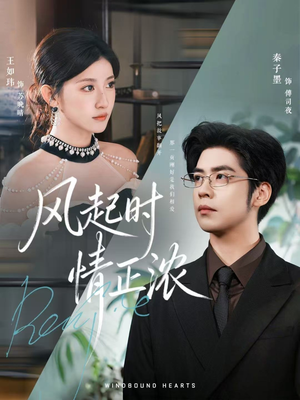 风起时情正浓（79集）短剧大结局限免特辑