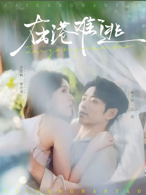 在港难逃（75集）短剧全集解锁零收费