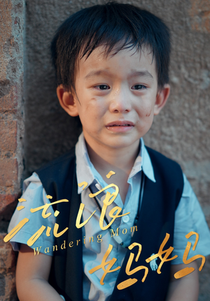 流浪妈妈（30集）短剧合集杜比音效版