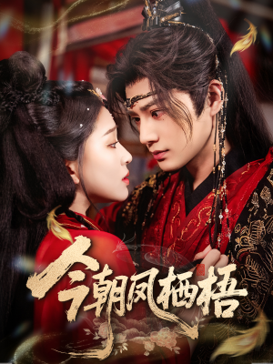 今朝凤栖梧（68集）短剧全集无删完整版