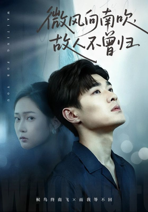 微风向南吹，故人不曾归（72集）短剧终篇全集限免看