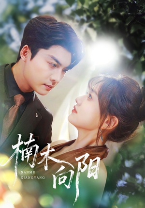 楠木向阳（70集）短剧全剧终在线连看