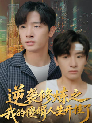 逆袭修炼之我的傻婿人生开挂了（65集）短剧热播全集免费追