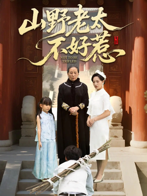 奶奶一脚震全城（64集）短剧终章免费大放送