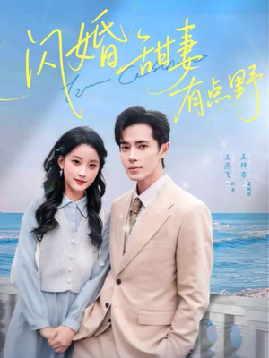 闪婚甜妻有点野（89集）短剧结局合集限免刷