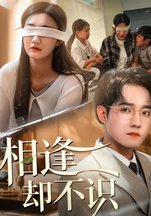 相逢却不识（77集）短剧大结局全集解锁