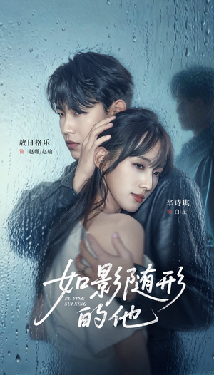 如影随形的他（30集）短剧大结局连更全集