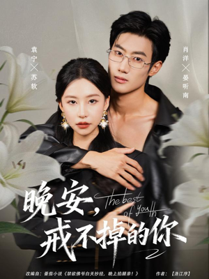 晚安，戒不掉的你（68集）短剧终篇全集限免看