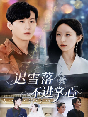 迟雪落不进掌心（79集）短剧合集蓝光画质