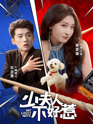 少夫人不好惹（61集）短剧全集高清无码版