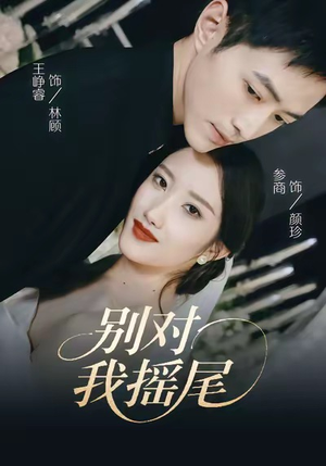 别对我摇尾（59集）短剧精选全集无广告