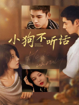 小狗不听话（70集）短剧全集高清无码版