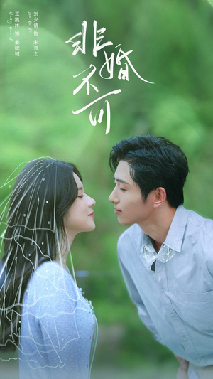 非婚不可（65集）短剧合集4K修复版