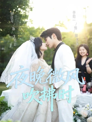 夜晚微风吹拂时（61集）短剧全剧终在线连看