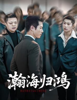 瀚海归鸿（74集）短剧合集通宵追更版