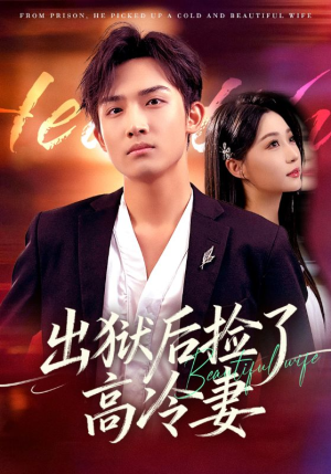 出狱后捡了高冷妻（71集）短剧大结局全集解锁
