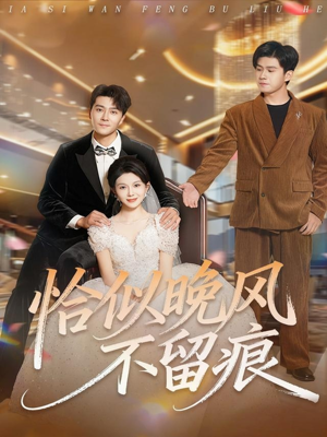 恰似晚风不留痕（61集）短剧完结篇全集连播