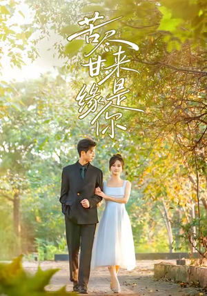 苦尽甘来缘是你（45集）短剧终极大结局合集