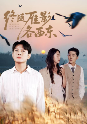 终随雁影各西东（86集）短剧全集畅看无门槛