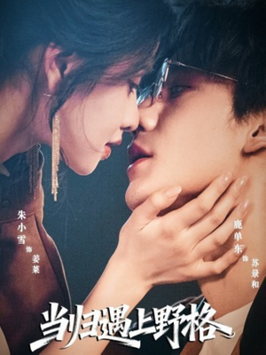 当归遇上野格（66集）短剧全集畅看无门槛