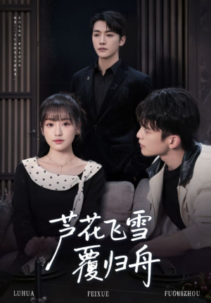 芦花飞雪覆归舟（77集）短剧终篇全集限免看