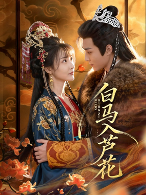 白马入芦花（59集）短剧大结局全集特惠