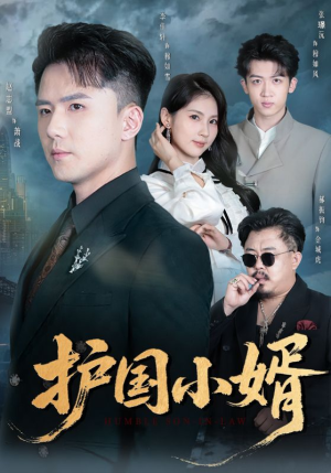 护国小婿（60集）短剧合集杜比音效版