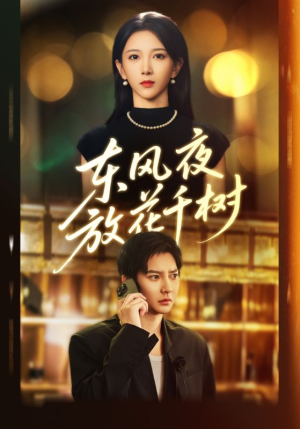 东风夜放花千树（91集）短剧合集导演剪辑版