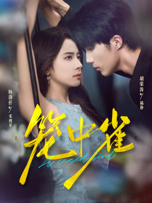 笼中雀（65集）短剧全系列永久免费