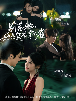 别惹她，她是贺爷掌心雀（69集）短剧全剧终高清放送