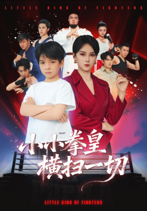 小小拳皇横扫一切（60集）短剧全集热力排行榜之一