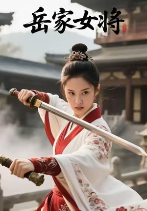 岳家女将（20集）短剧全剧终限免畅刷