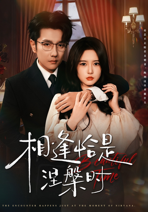 相逢恰是涅槃时（63集）短剧爆款全集在线播