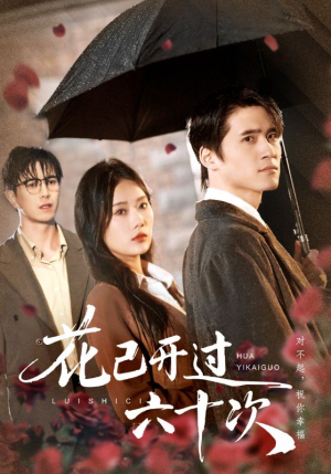 花已开过六十次（72集）短剧全集VR沉浸版