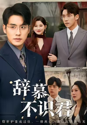 辞慕不识君（77集）短剧全剧终限免畅刷