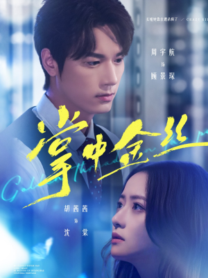 掌中金丝（60集）短剧终极大结局合集