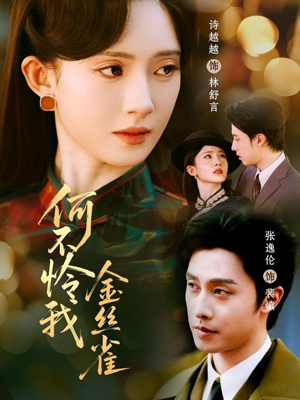 何不怜我金丝雀（60集） 短剧大结局超前点映