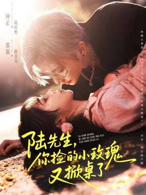 陆先生，你捡的小玫瑰又掀桌了（74集）短剧全集高清完整版