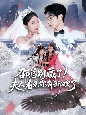 邵总别藏了！夫人看见你有新欢了（70集） 短剧合集4K修复版