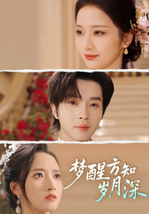 梦醒方知岁月深（80集）短剧全集投屏大屏看