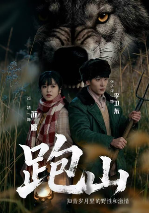 跑山：知青岁月里的野性和激情（83集）短剧结局篇全集直通