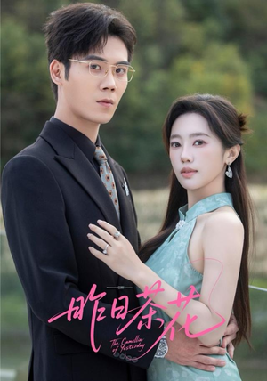 昨日茶花（56集）短剧合集通宵追更版