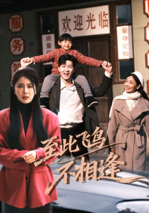 至此飞鸟不相逢（70集）短剧全集热力排行榜之一