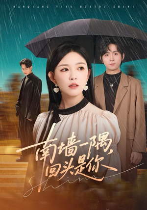 南墙一隅，回头是你（61集）短剧大结局合集放送