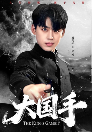 大国手（76集）短剧大结局全集特惠