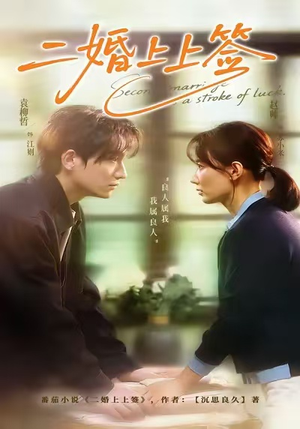 二婚上上签（71集）短剧全剧终限免畅刷