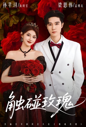 触碰玫瑰（80集）短剧全集投屏大屏看